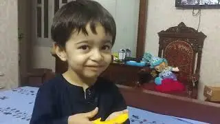Mango Lover