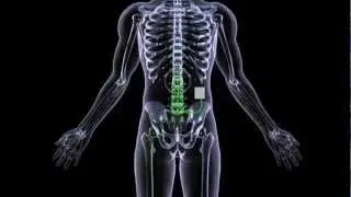 How does interventional pain management help with acute and chronic pain?