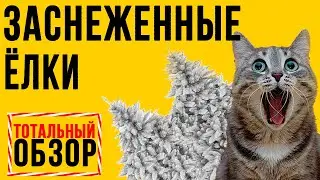 ЗАСНЕЖЕННЫЕ ЁЛКИ GreenTerra™ | Обзор: 