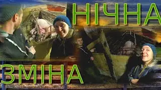 НІЧНА У САРАЇ та ПОРОСЯТА-ДОЛМАТИНЦІ⁉️