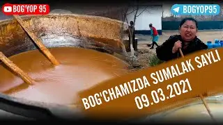 09.03.2021 | 15-SONLI BOG'CHAMIZDA SUMALAK SAYLI | TEZDA KO'RING | BOG'YOP 95