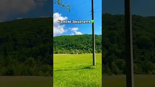 ЗАКАРПАТТЯ #short #shortvideo #shorts #nature #українськийютуб #україна #закарпаття #ютубукраїнською