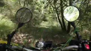 byerrebi Tricker nel bosco x nuove viottole #robertobecchi