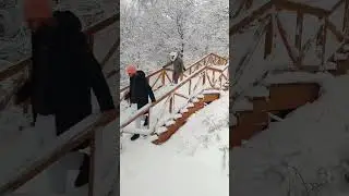 Огромная усадьба по цене трешки в Москве  #денежныйпоток #недвижимость #инвестиции