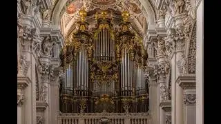 Affectation - Sigmund Krähe [Reupload]