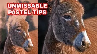 Pastel Pencil Tips Donkey Drawing - Jason Morgan Art