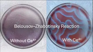 Belousov–Zhabotinsky Reaction (BZ reaction) Part 2: Cerium Version and its Comparison with Ferroin