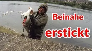 Schwan beinahe erstickt - Tiernotruf #120