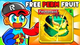 GOING FROM NOOB TO PRO ON BLOX FRUITS