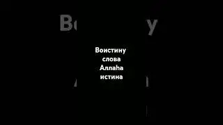 Воистину слова Аллаha истина.#религия #напоминание #ислам