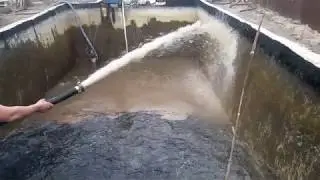 How my sturgeons overwintered in the pond. (A little about sturgeons).