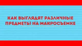 как выглядят предметы на макросъемке.