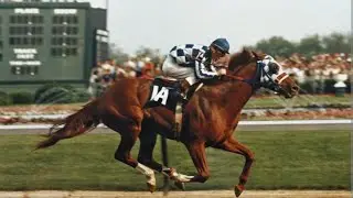 SECRETARIAT || huhihihi