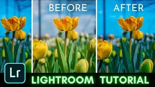 #9 || Lightroom photo editing tutorial || PicassoEditz ||