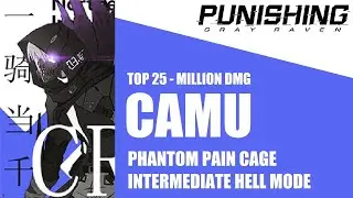Punishing Gray Raven: Pain Cage - Hell Camu (Intermediate) 179k | A Million Damage! Top 30!