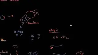 DNA Amplicfication by Polymerase chain reaction (PCR)