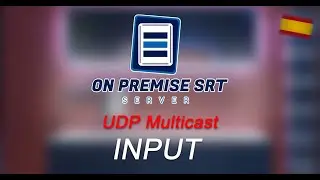 OnPremise SRT Server - (Español) Crear Input UDP Multicast