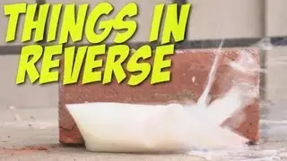 Things In Reverse!