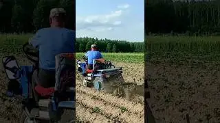 Узнайте, как окучивать картофель ёжиками, мотоблок мтз БЕЛАРУС 