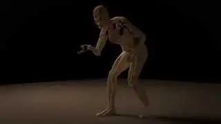 Blender 2.68 - Dynamic Paint & Particles Test