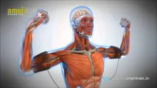 ЭМС тренинг Amplitrain