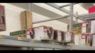 Where Do Brands Go From Here - Christmas Tree Shortage
