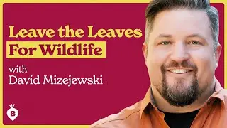 Support Your Garden's Ecosystem with David Mizejewski | The Beet