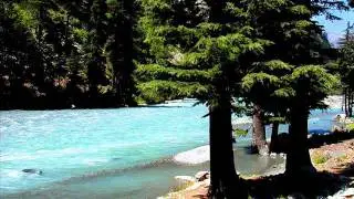 Lord, I Give You My Heart - Darlene Zschech (Hillsongs)