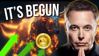 Dogecoin & Bitcoin News Today Now (LAST CHANCE TO BE RICH)
