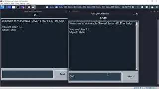 DDoS against vulnserver chat server