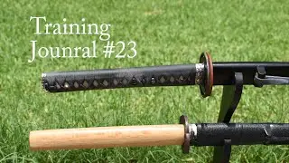 Cat Attack! - Training Journal #23