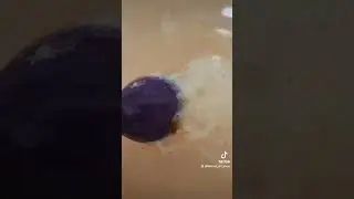 Baff Bombs Magic Brush #shorts