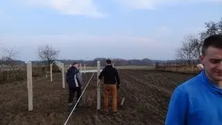 Stawianie słupów pod szpalery w winnicy