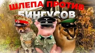 Шлёпа против Бингусов | 1 серия 1 сезона РЕМАСТЕР