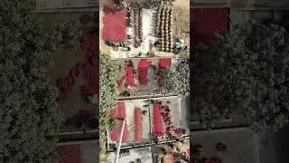 The Worlds Biggest Potato Farm