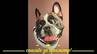 Когда впервые увидел свою собаку/When I first saw my dog