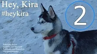 Hey, Kira #2