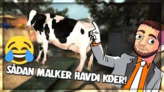 SÅ MEGET VED HAVDI OM KØER