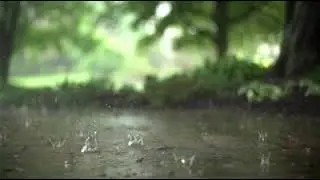 Макросъемка дождь