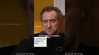 Разнообразие гепардов. Михаил Никитин. #наука #science #shorts