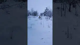 9 декабря 2023 г.