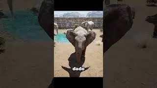 Él le devolvió su zapato 🐘