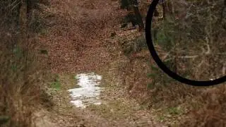 soundslidehdtest