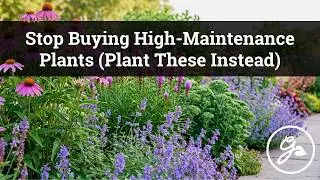Foolproof Perennials Anyone Can Grow / Low-Maintenance Plants to Brighten Your Garden