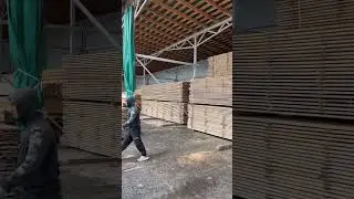 Тверь , 79955850007
