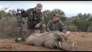 Hunting Safari in South Africa with Tom Lee  - Hunting movie - Pete Safaris