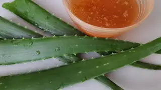 Алоэ с мёдом.Как повысить иммунитет при помощи алоэ и меда?Как приготовить и принимать?