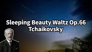 잠자는 숲속의 왈츠_차이코프스키(Tchaikovsky - Sleeping Beauty Waltz)