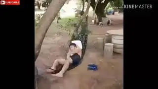 Funny videos compilation best of 2019 trending now   YouTube
