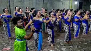 TAYUB REKOR GAMBIR SAWIT GELO LEDEKE 28 BIJI ||RAHAYU NGREMBOKO || DJAVA || OVS_HD